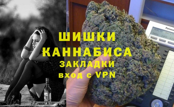 спайс Гусь-Хрустальный