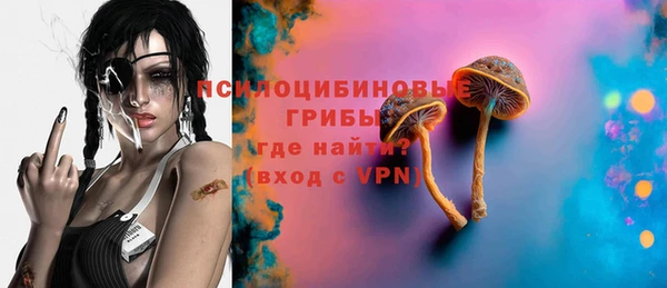 гашик Гусиноозёрск