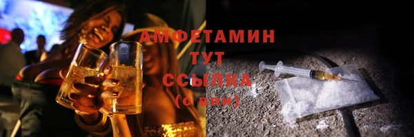 ГАЛЛЮЦИНОГЕННЫЕ ГРИБЫ Гусев