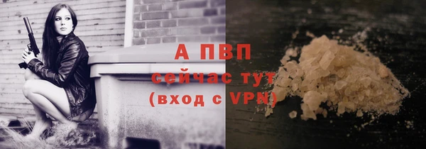 спайс Гусь-Хрустальный