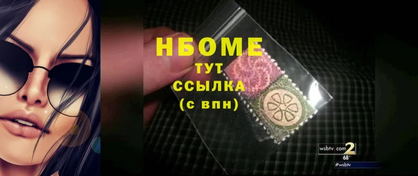 ГАЛЛЮЦИНОГЕННЫЕ ГРИБЫ Гусев