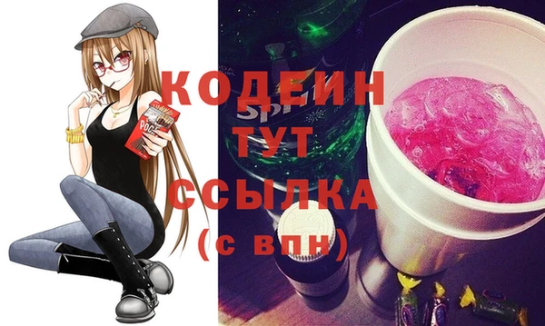 ГАЛЛЮЦИНОГЕННЫЕ ГРИБЫ Гусев