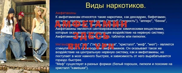 ГАЛЛЮЦИНОГЕННЫЕ ГРИБЫ Гусев