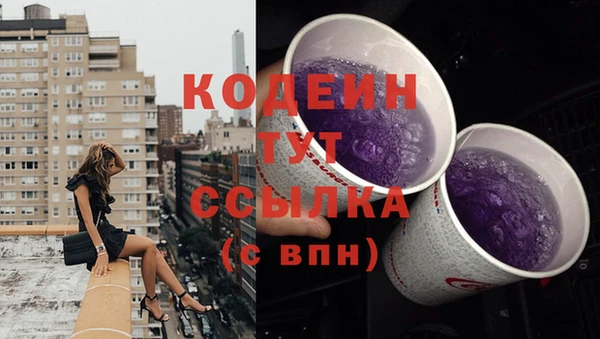 ГАЛЛЮЦИНОГЕННЫЕ ГРИБЫ Гусев