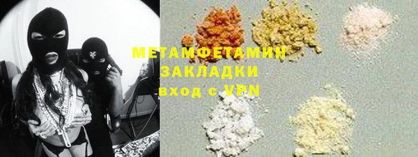 ГАЛЛЮЦИНОГЕННЫЕ ГРИБЫ Гусев